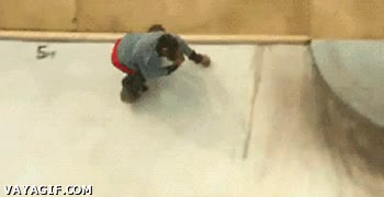 monopatin,chimpance,skate,mono,monkey hawk