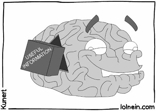 cerebro,pieza,encajar,información util,interesante,estupido