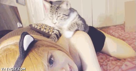 gato,quitar,orejas de gato,chica,impostora,zarpazo