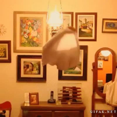 Camiseta,Desvestir,Ropa,Sacar,Ocultar,Fantasma,Invisible,Desaparecer