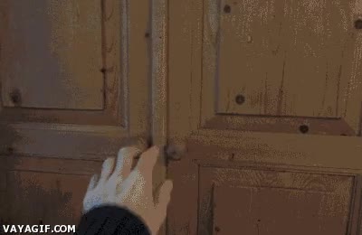 Bucle,Habitaci&oacute;n,Secreto,Ocultar,Agente,Armario,Puerta