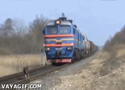 correr,tren,limite,vivir,perro,via