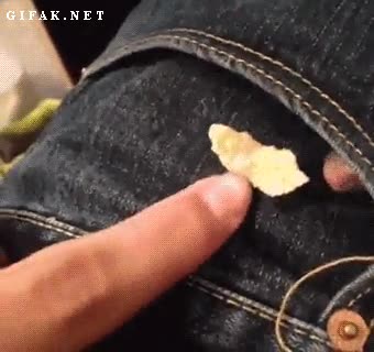 Planeador del azucar,Bolsillo,Pantal&oacute;n,Az&uacute;car,Comida,Hambre,ardilla,Tejanos