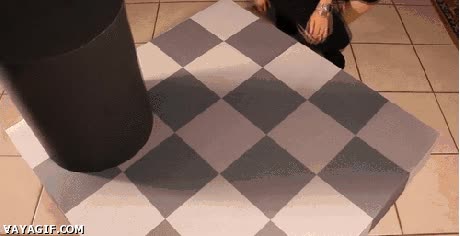 ilusi&oacute;n &oacute;ptica,estruendo,cerebro,enga&ntilde;o,color,sombra,tonos de gris