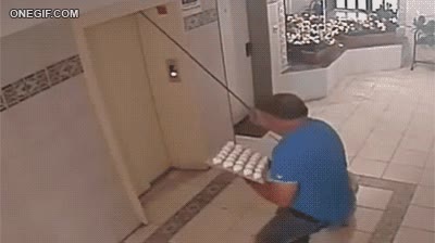 Perro,Puerta,Entrada,Casa,Huevos rotos,Maldici&oacute;n,Suerte,Pug,Carlino,Correa,Collar