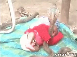 Cobra,Beb&eacute;,Dormir,India,Protecci&oacute;n,Serpiente