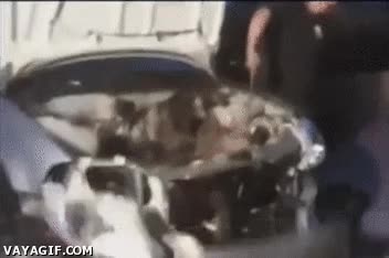 desmontar,mecanico,coche,desarmar,caer,tuerca