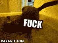 Bañera,gato,gracioso,mojado,fail,de cabeza,interesting