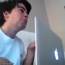 perro,mirar,celoso,gato,gusto,reirse,husky,decepcionado