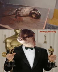 Nutria,Premio,Oscar,Muerte,Actor,Famoso,Disparo,Arma