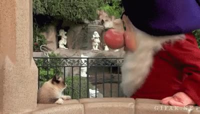 Grumpy cat conociendo a Grumpy Dwarf en Disneyland, ¡vaya dos gruñones! Gato,Disneyland,Grumpy,Gruñón,Aburrido,Enano,Parque.,Cat