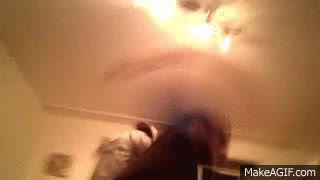 Pierde al FIFA y reacciona así, probablemente el tío más rabioso del mundo rabiar,rabioso,perder,fifa,fail,tv,lcd,romper,tele