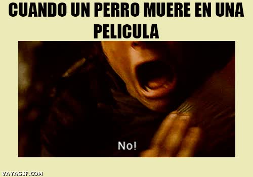el señor de los anillos,frodo,cuando muere perro,pelicula