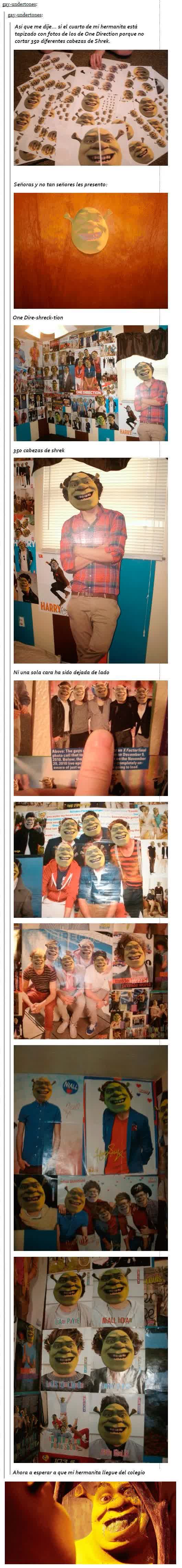 Ahora podemos decir que tiene una mejor decoración trollear,hermano,one direction,Shrek,decoración