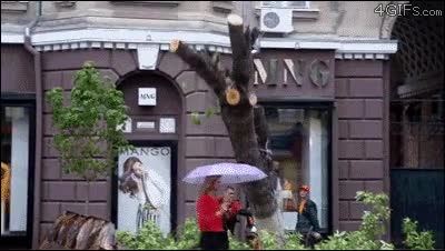 volver a nacer,por poco,tronco,talar,chica,&aacute;rbol,casi