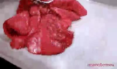 aire,llenar,inflar,pulmones,anatomía