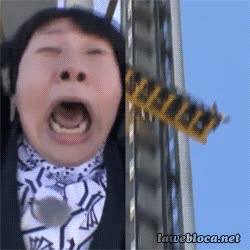 asi&aacute;tica,reacci&oacute;n,miedo,gravedad,altura,caida libre,parque de atracciones