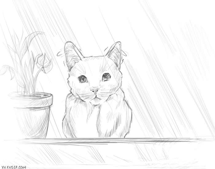 gato,caricia,dibujo,lapiz,animacion