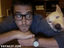 perro,tio,webcam,se parece a babala,aburridos