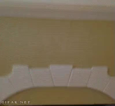 perro,televisor,pelicula,otros,el rey leon,escena,yorkshire