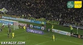 Abrazo colectivo,f&uacute;tbol,gol,esto si que da &agrave;nimo,publico