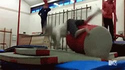 inconciente,ko,amistad,afortunado,felicidad,juegos,amigos,golpe