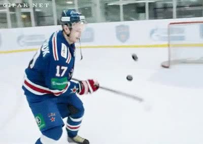 Deporte,Hockey sobre hielo,Habilidad,Gol,Maestro,Toques,Discos