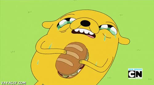 Perro,Hambre,Situación,Comer,Encantar,Delicioso,No poder parar