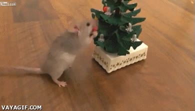 Bolitas,&Aacute;rbol,Navidad,Rat&oacute;n,Navide&ntilde;o