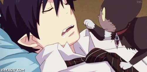 despertador,gato,rin,ao no exorcist,anime,despertar