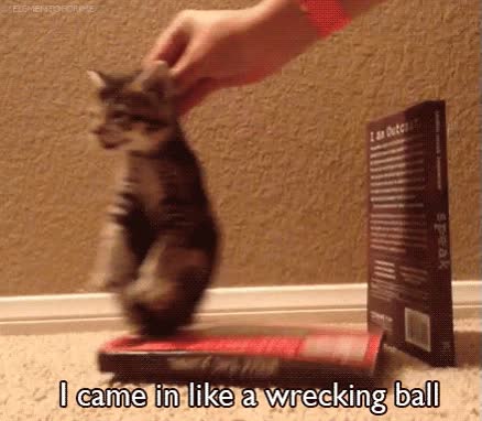 wrecking,gato,ball,came,libros,miley cyrus,tirar