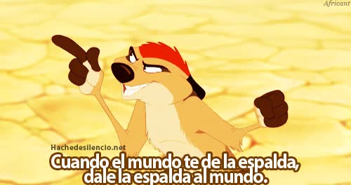 suricata,consejo,espalda,Timón,mundo,dar