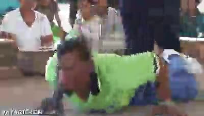 cobra,t&iacute;o,beso,comer,serpiente,morder,temerario