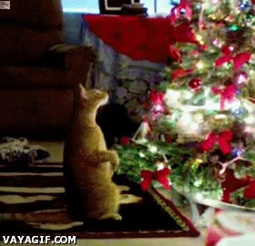 navidad,gato,felino,arbol,luces,fliparlo a tope