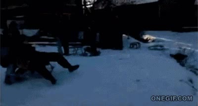 Trineo,Descenso,Casa,Llegar,Invierno,Fr&iacute;o