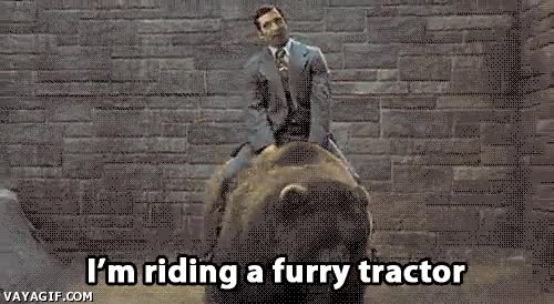 steve carrell,oso,tractor,conducir,peludo