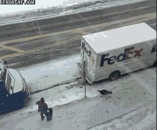 Pavo,Fedex,Cartonero,Correr,Escapar,Empleado