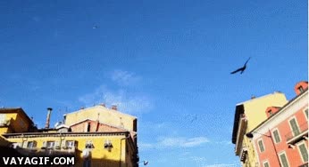 sin riesgo de caida,yo quiero una,cubiertas,motos ecológicas,toyota