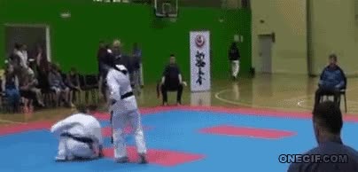 Karate,Patada,Artes marciales,Pelea,Sorpresa