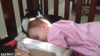 Gatito, ¿por qué me lames así? Te estoy limpiando. ¡Ah vale, pues puedes seguir! Gato,Chupar,Presa,Bebé,Despertar,Dormir,Lengua,Limpiar