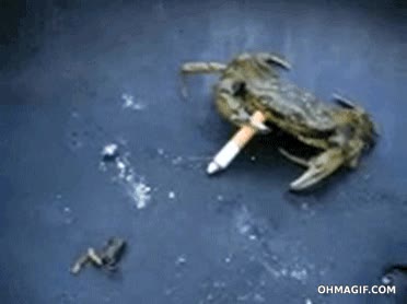 Pinzas,Don Cangrejo,Gratis,Fumar,Tabaco,Cigarro