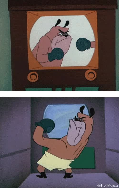 Incluso esto es un mejor programa que todo lo que echan en Telecinco Perro,Pelea,Boxeo,Deporte,TV,Trampa,Golpe,Bulldog,Programa,Tele,Telecinco
