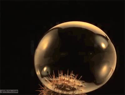 explotar,espinas,camara lenta,burbuja,efecto,slow motion
