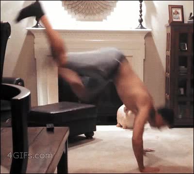 gato,gusano,breakdance,golpe,fail,rebote,rebotar