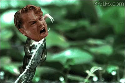 Leonardo DiCaprio,rana,lengua,premios oscar,estatuilla