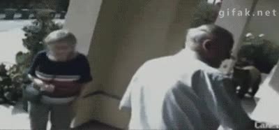 Ninja,Ocultar,Quieto,Pl&aacute;stico,Oso,Paseo,Gente