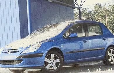 Enlace a Siempre igual, cada vez que lavo el coche, la paloma de turno... espera...