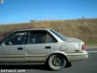 ¿Cuántos caballos tiene tu coche? No lo sé, por lo menos uno coche,dentro,caballo,circular,conducir,metido,caballos,motor