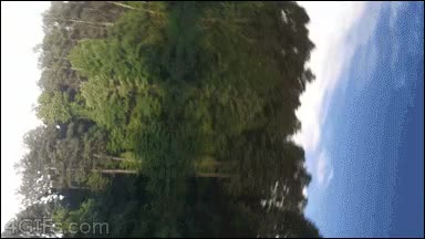 puente,brain explode,reflejo,agua,cielo,simétrico