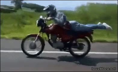 Supongo que conducir la moto sentada no le parecía suficientemente emocionante tumbada,conducir,moto,increible,planking